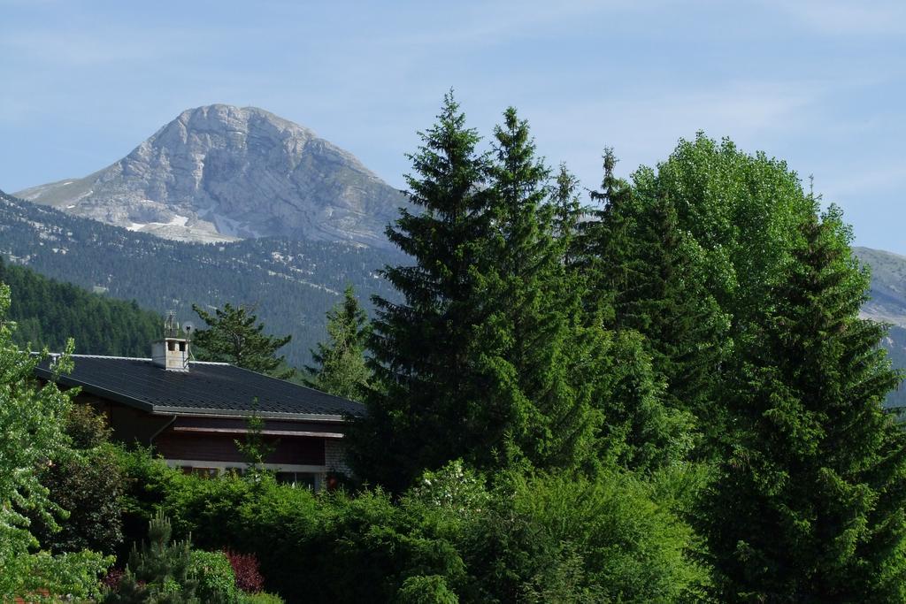Joy De Lans Villard-de-Lans